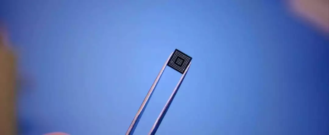 AI新贵Gyrfalcon打造多款机器学习芯片的图4